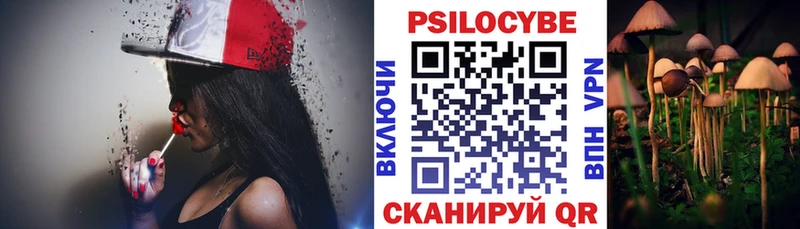 Псилоцибиновые грибы мицелий  Купить где  Долинск 